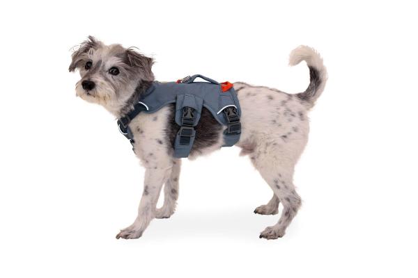 Ruffwear Web Master Harness Slate Blue Gr. XXS Ruffwear Web Master Harness Slate Blue Gr. XXS